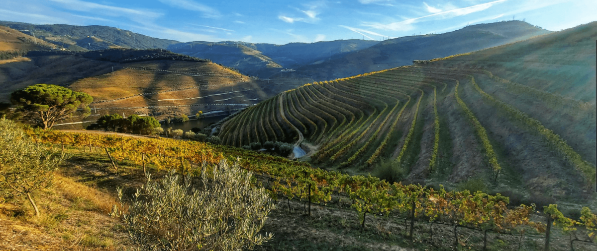 Portugal Wine Country Road Trip: 8 Days w/Flights & Car