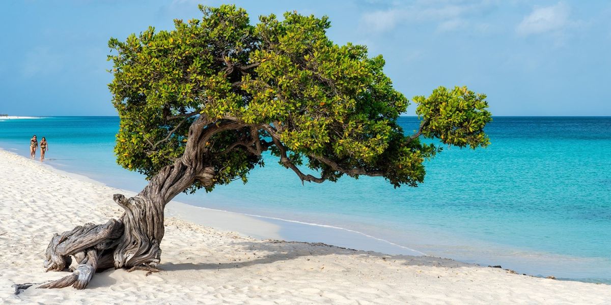 Aruba: Tropical 3-Night Beach Escape w/Flights